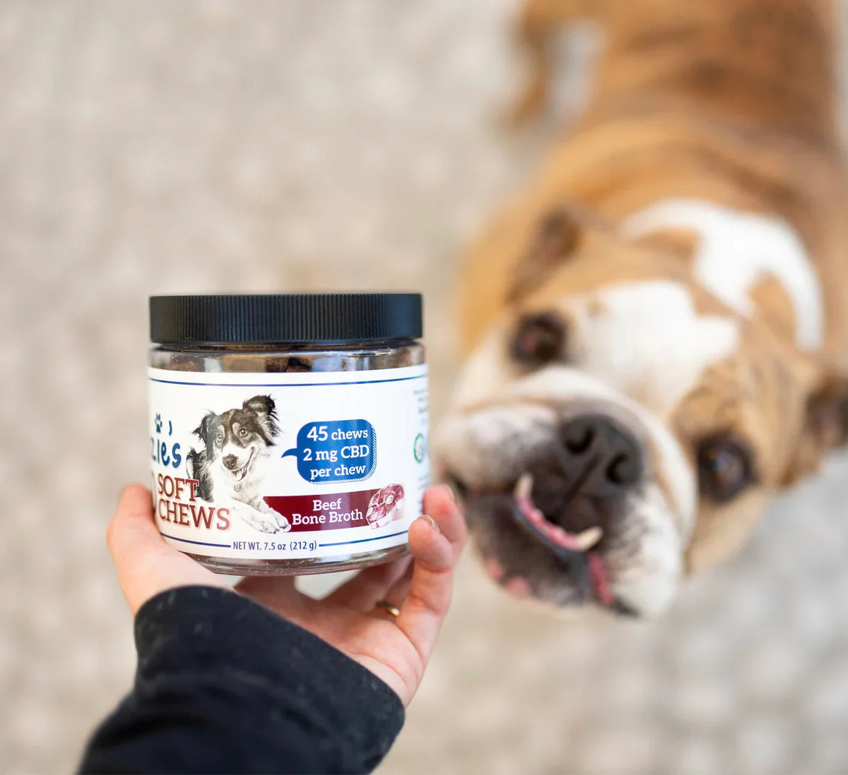 a jar of 'Bark & Bone' soft chews for dogs