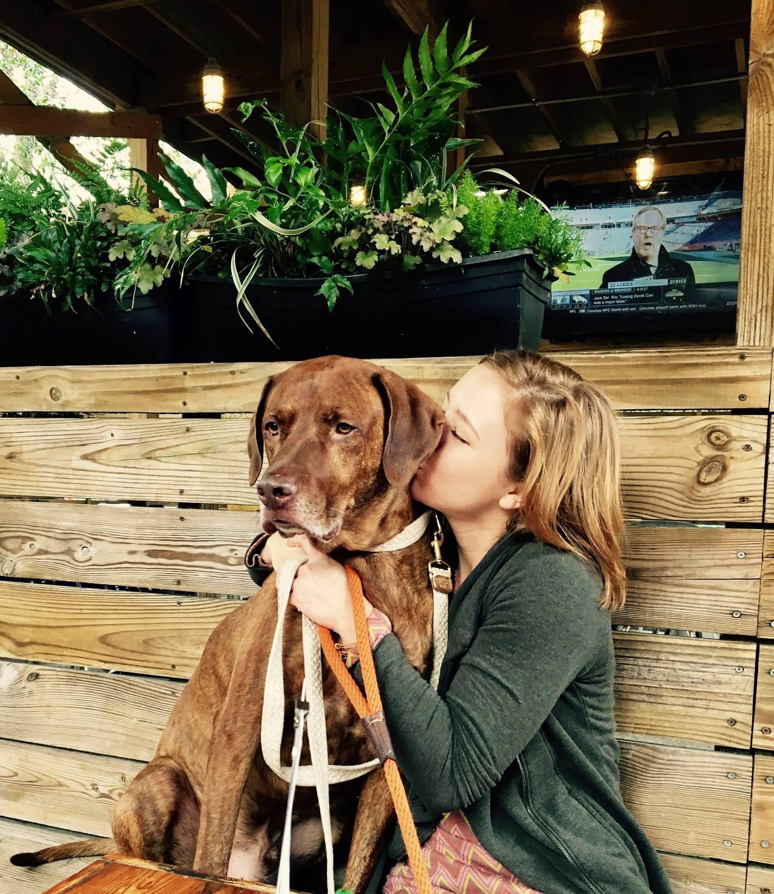 CBD Oil for Dogs Natural Flavor - Broad Spectrum - SourceCBDOil