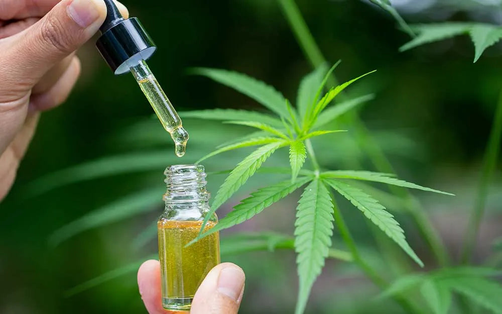 Full-Spectrum CBD & the Entourage Effect