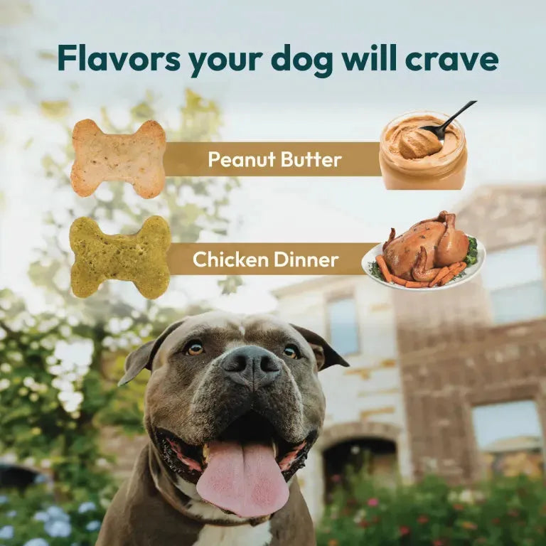 Hometown Hero Calming CBD Dog Treats Hometown Hero Coastal Hemp Co
