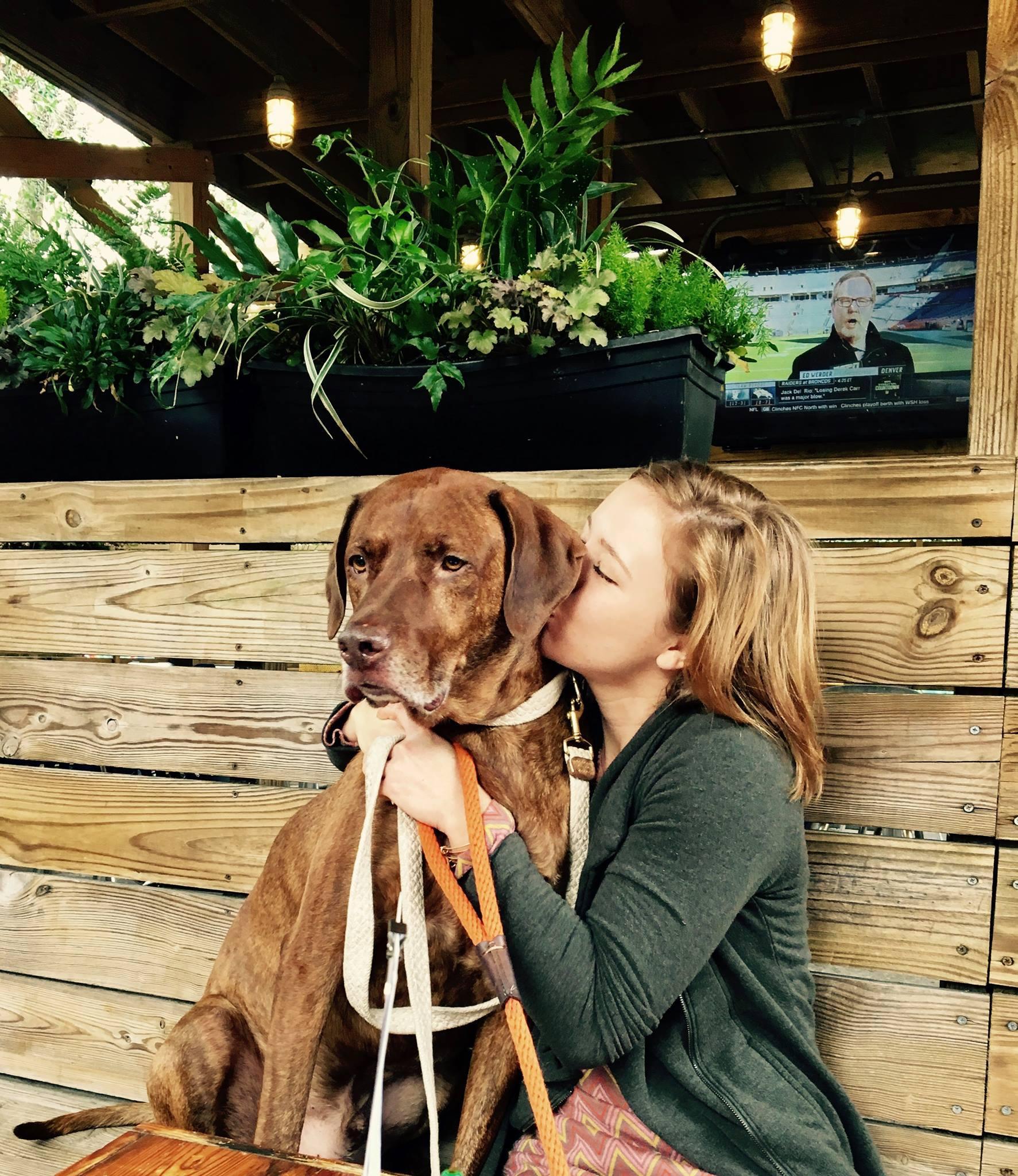 Organic CBD Dog Treats - 2 mg Beef Flavor THC Free - SourceCBDOil